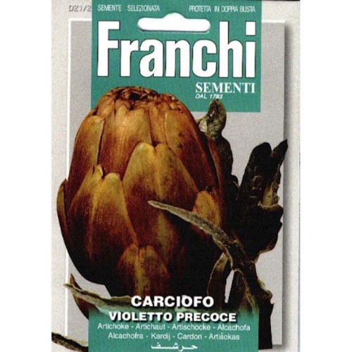 Artichoke Carciofo Violetto Precoce Seeds